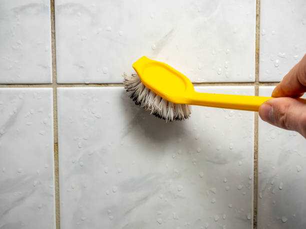 Best Office Mold Removal Services  in Benton Heights, MI