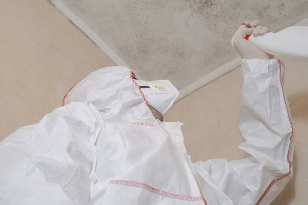 Best Mold Remediation  in Benton Heights, MI