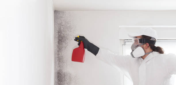 Best Crawl Space Mold Removal  in Benton Heights, MI