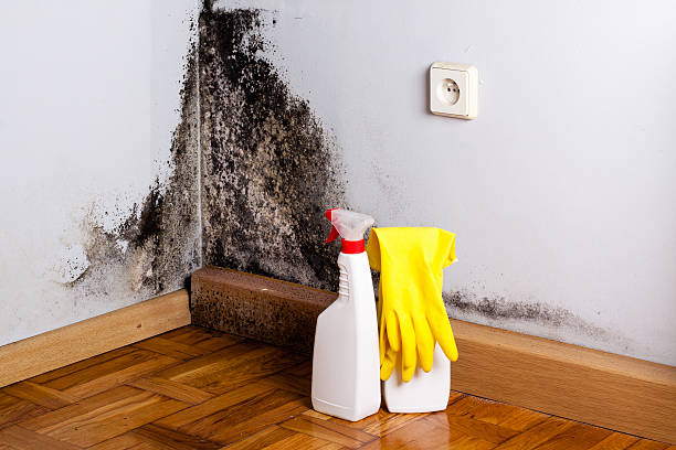 Best Crawl Space Mold Removal  in Benton Heights, MI